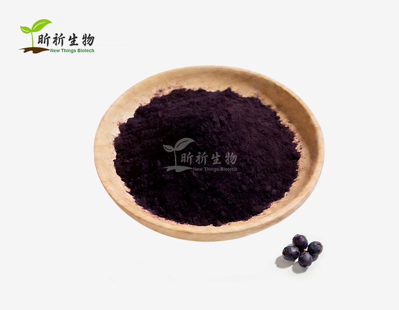 Indigo Fruit Extract Powder